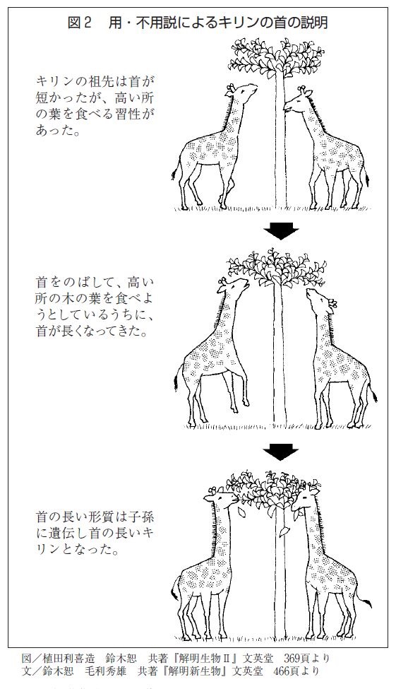 Kogensha News App